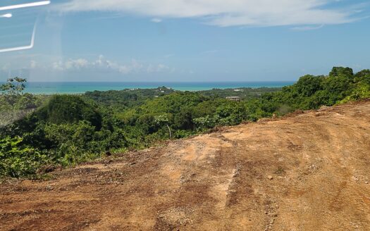 Oceanview lots