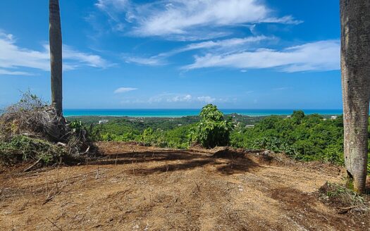 Oceanview lots