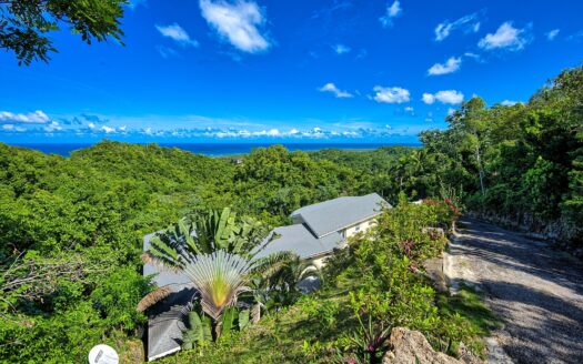 Oceanview villa