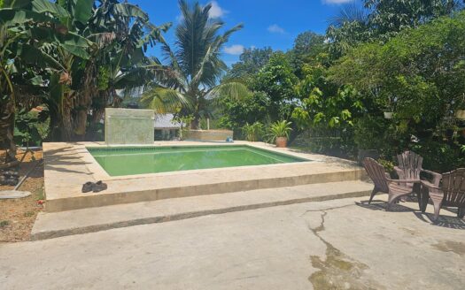 Los Puentes home