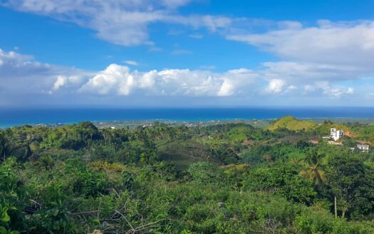 Oceanview land 14,000 m2