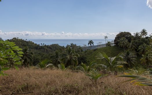 50,000 m2 oceanview