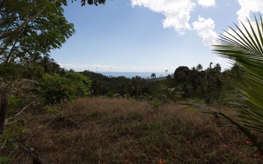 50,000 m2 oceanview