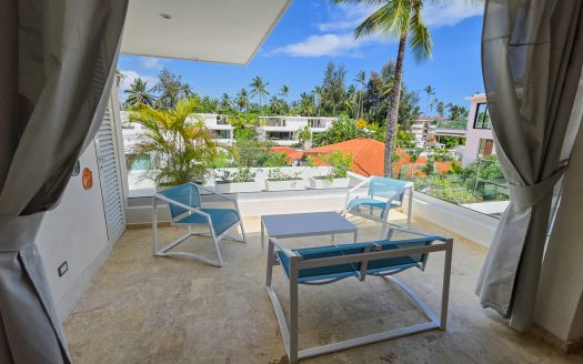 1 bedroom penthouse