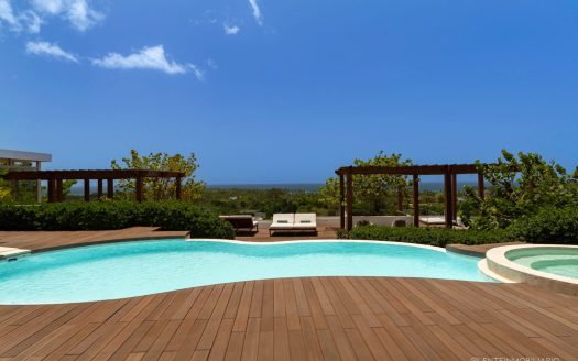 Luxe villa