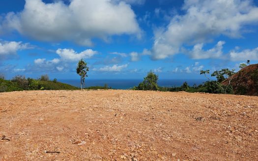 Oceanview farm for sale