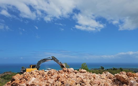 Oceanview farm for sale