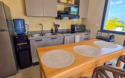 Oceanview TAXFREE penthouse