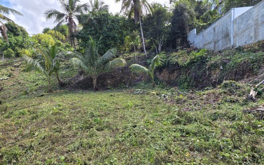 Oceanview Lot 2450 m2